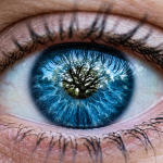 Identity in Christ Through The Single Eye to the Tree of Life